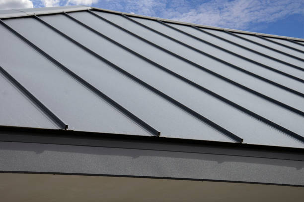 Best Sheet Metal Roofing  in Pilot Mountain, NC